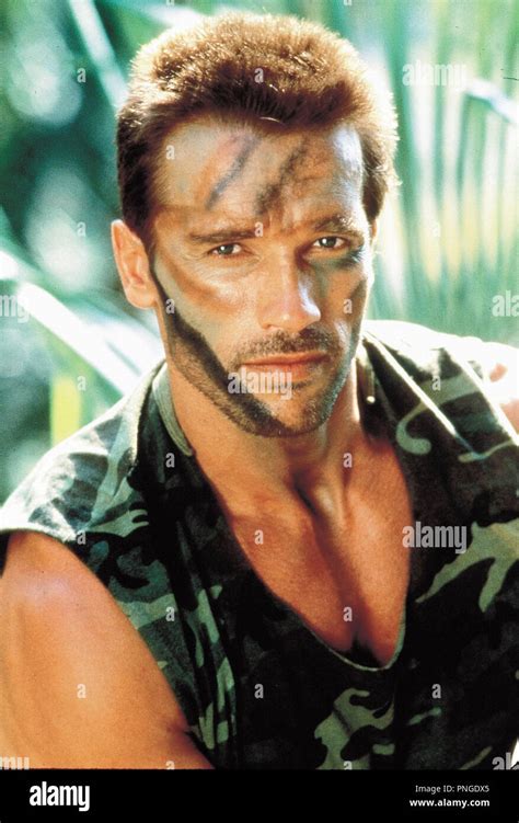 predator » English .